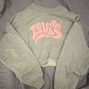 Levi’s cropped crew neck.